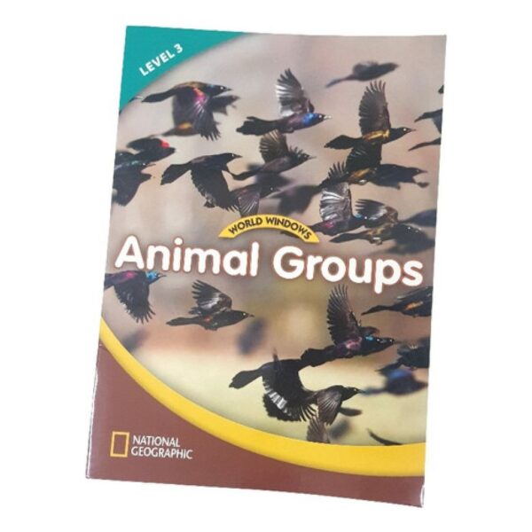 Animal Groups - World Windows - National Geographic -lev 3 (Usado)