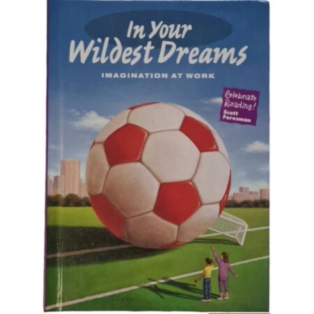 In Your Wildest Dreams (ingles - 3f) - Foresman, Scott (Usado)