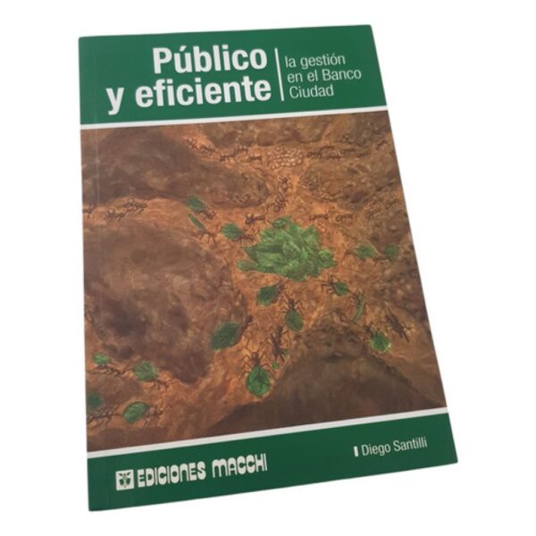 Publico Y Eficiente La Gestion En El Banco Ciudad -santilli (Usado)