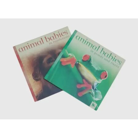 Animal Babies- In Ponds And Rivers + In Rainforests 2 Libros (Usado)