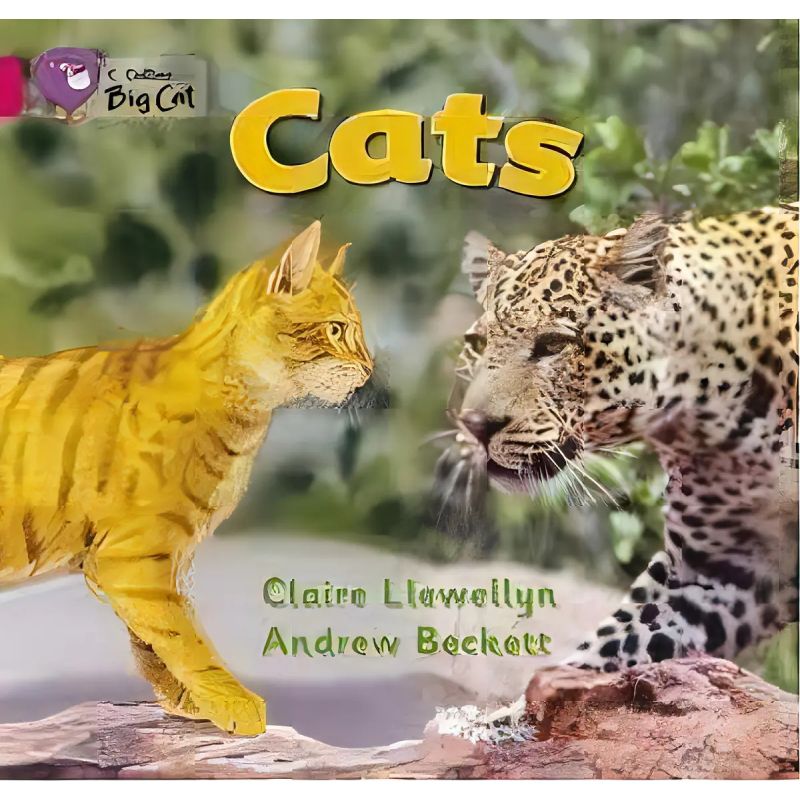 CATS - BIG CAT 1B / PINK B (Nuevo)