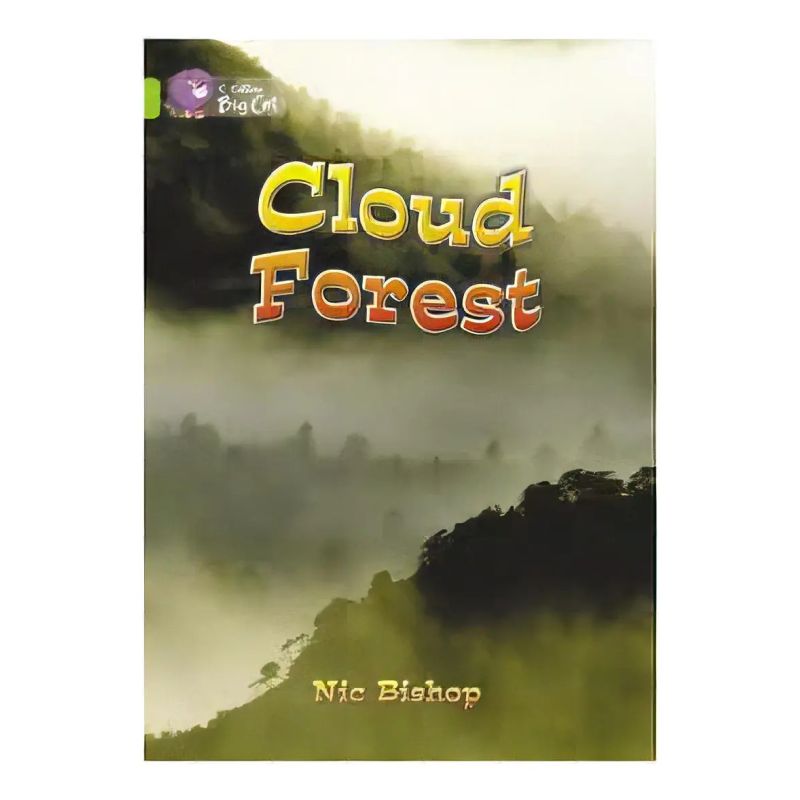CLOUD FOREST - BIG CAT 11 / LIME (Nuevo)