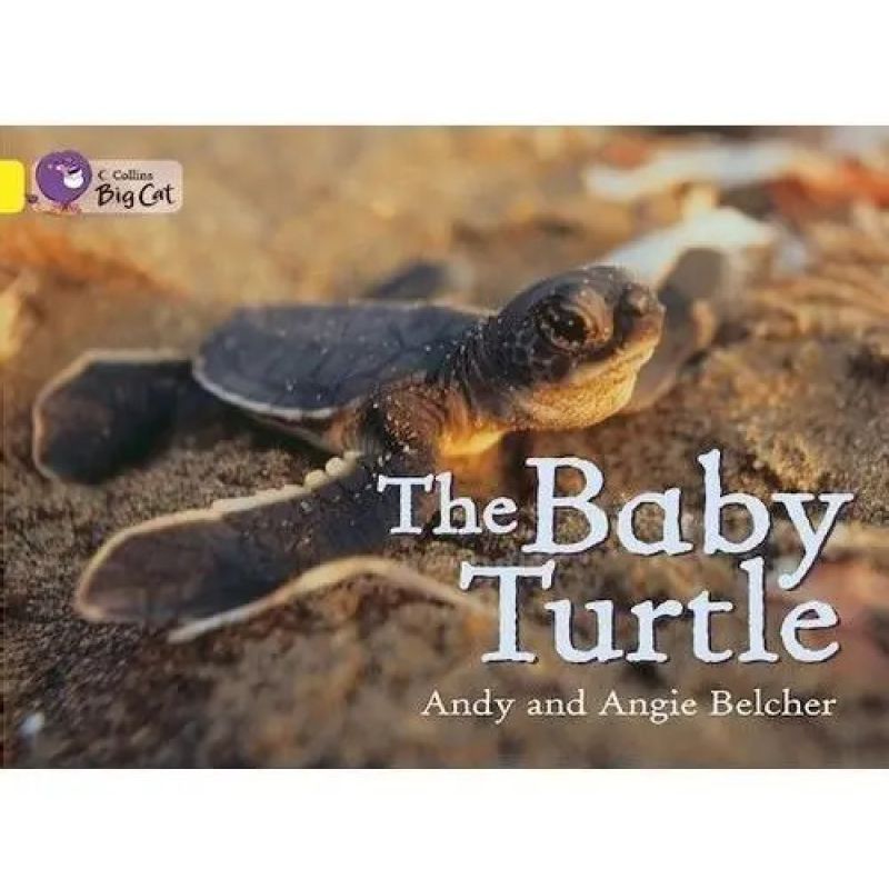 BABY TURTLE, THE - BIG CAT 3 / YELLOW (Nuevo)