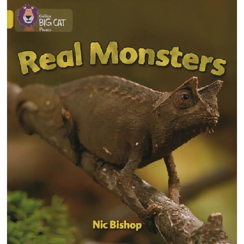 REAL MONSTERS - BIG CAT 3 / YELLOW - PHONICS (Nuevo)