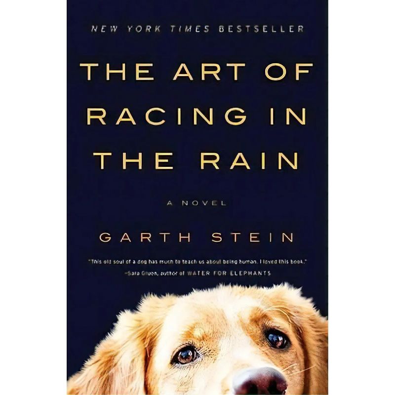 ART OF RACING IN THE RAIN, THE (PB) (Nuevo)