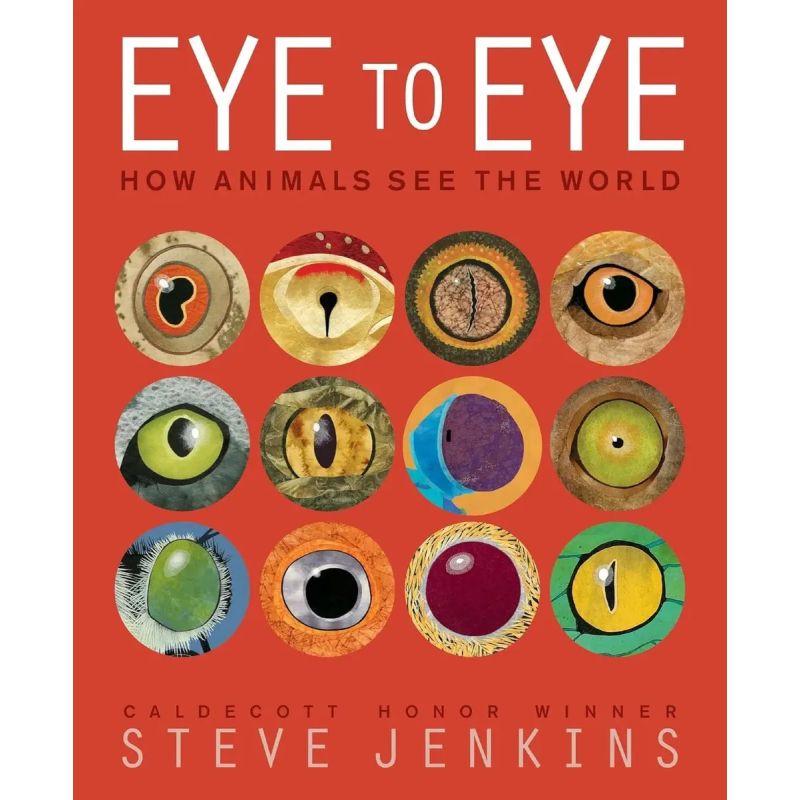 EYE TO EYE - PB (Nuevo)