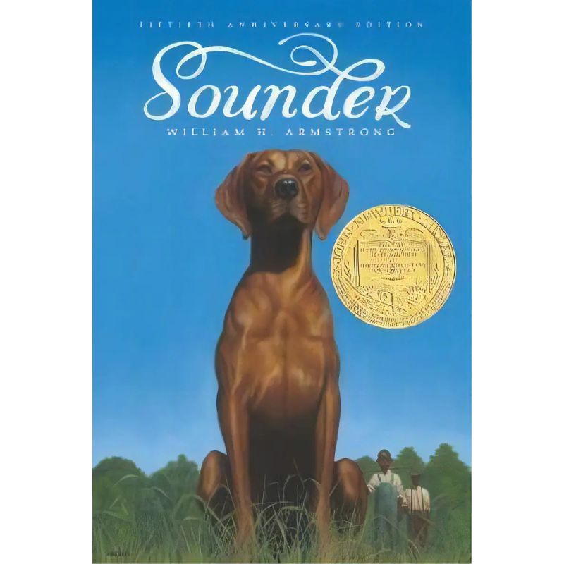 SOUNDER (Nuevo)