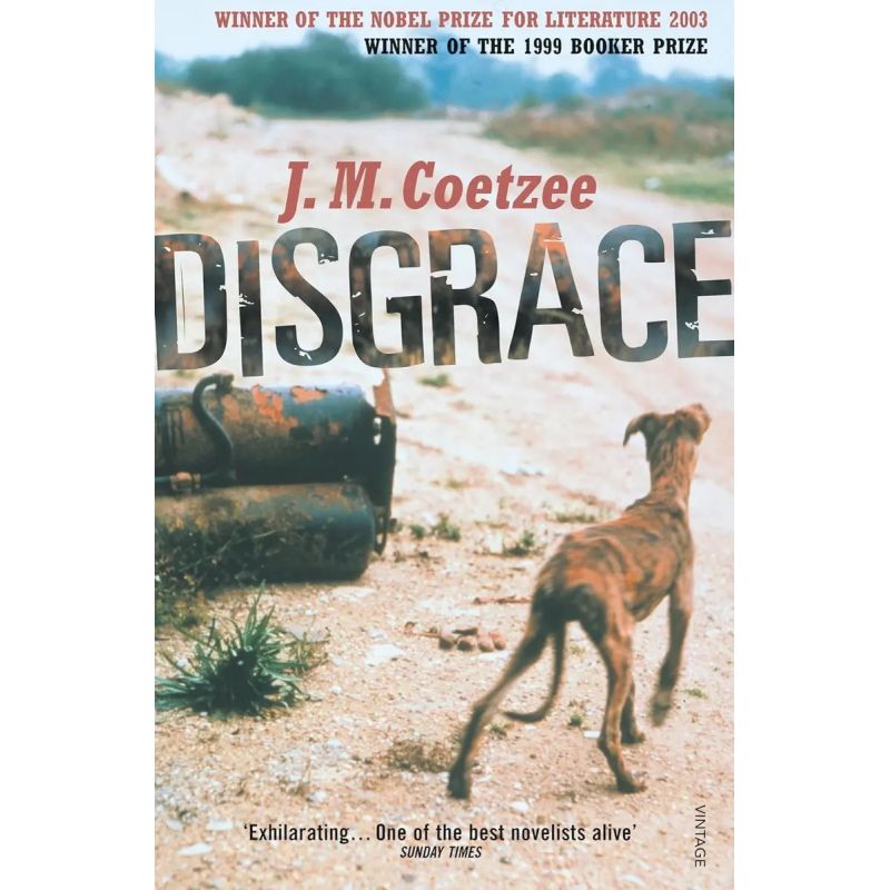 DISGRACE (Nuevo)