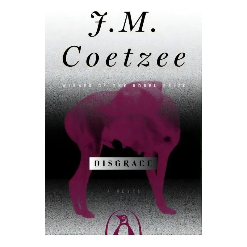DISGRACE (PB) (Nuevo)