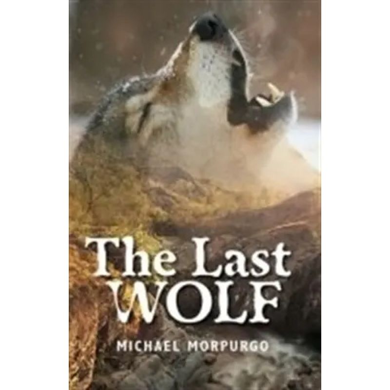 LAST WOLF, THE - ROLLERCOASTERS (Nuevo)