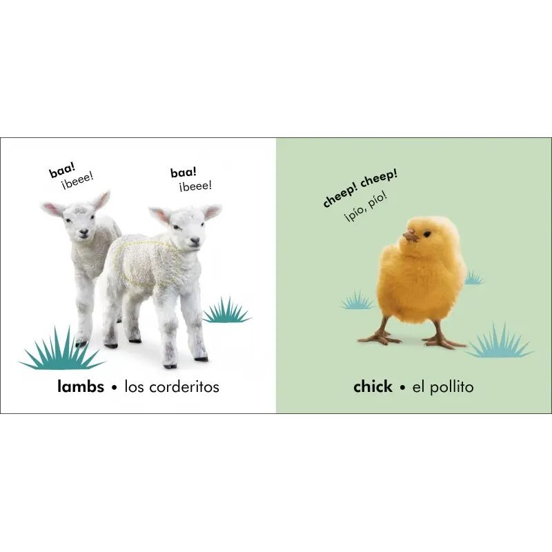 ANIMALES BEBE, LOS - BABY ANIMALS - BILINGUAL TOUCH AND FEEL - BILINGUE (Nuevo) - Miniatura 2