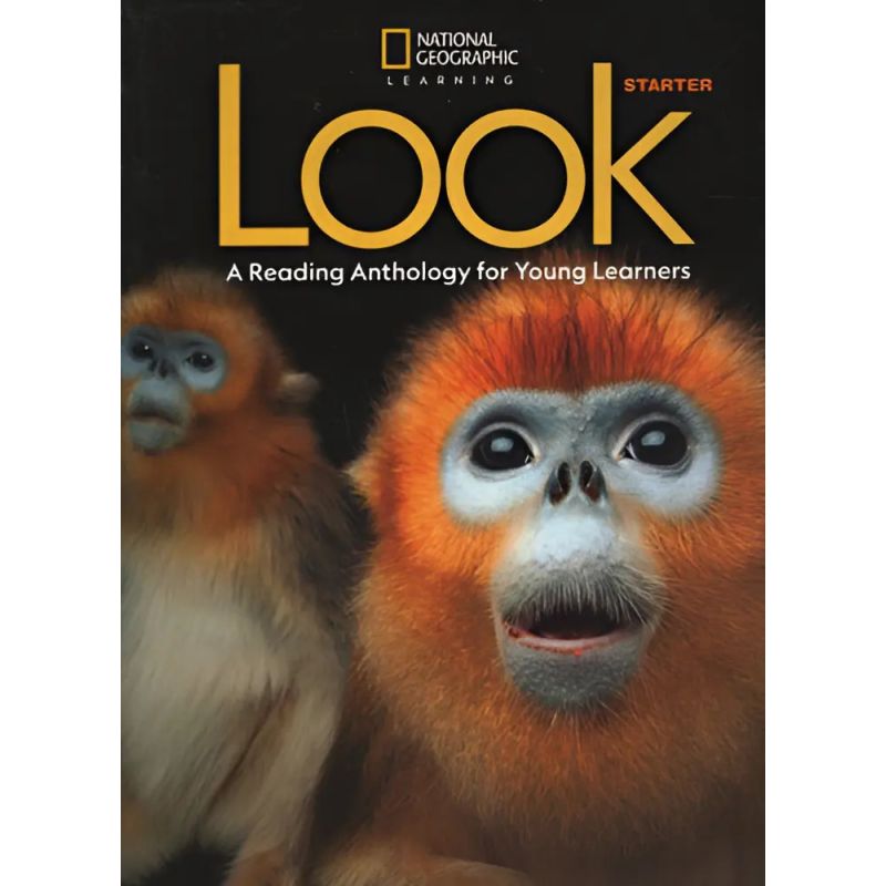 AMERICAN LOOK 0 STARTER - ANTHOLOGY (Nuevo)