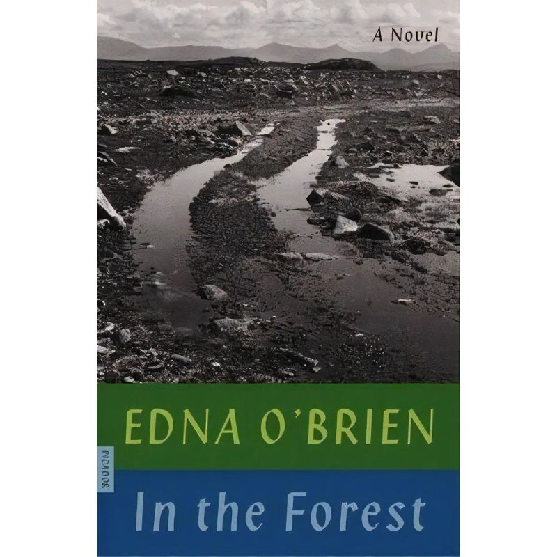 IN THE FOREST (Nuevo)