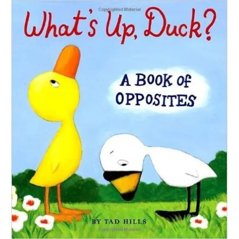 WHAT'S UP,DUCK? (Nuevo)