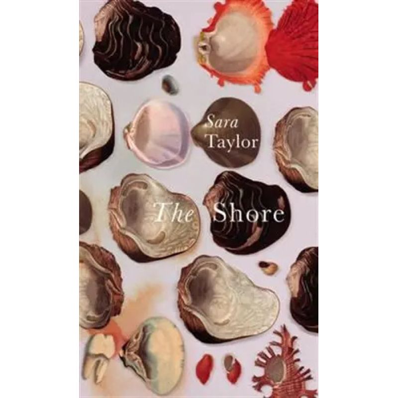 SHORE,THE (PB)* (Nuevo)