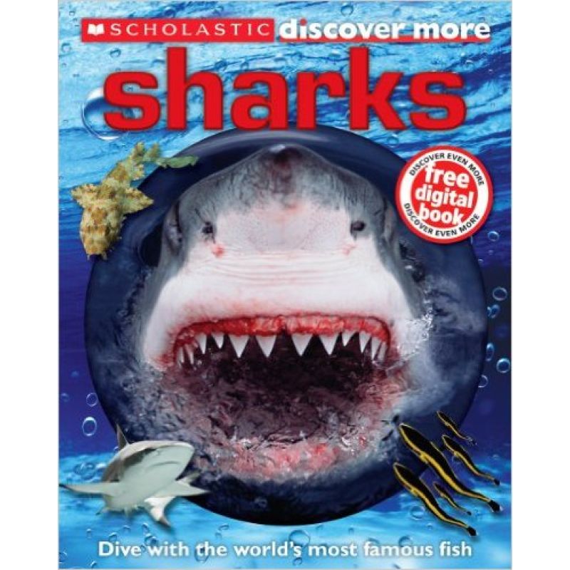 SHARKS (HB) - DISCOVER MORE* (Nuevo)