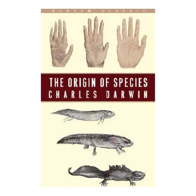 ORIGIN OF SPECIES,THE (Nuevo)