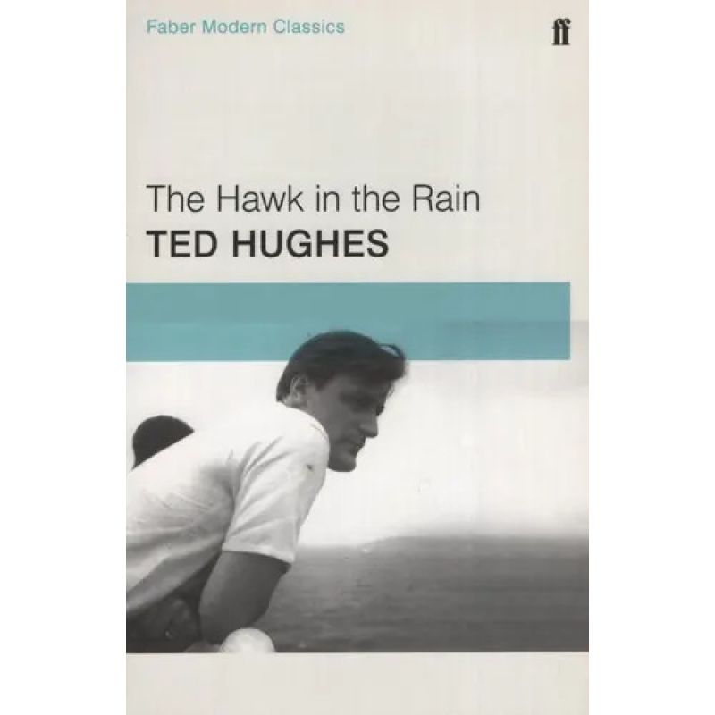 HAWK IN THE RAIN,THE (PB) (Nuevo)