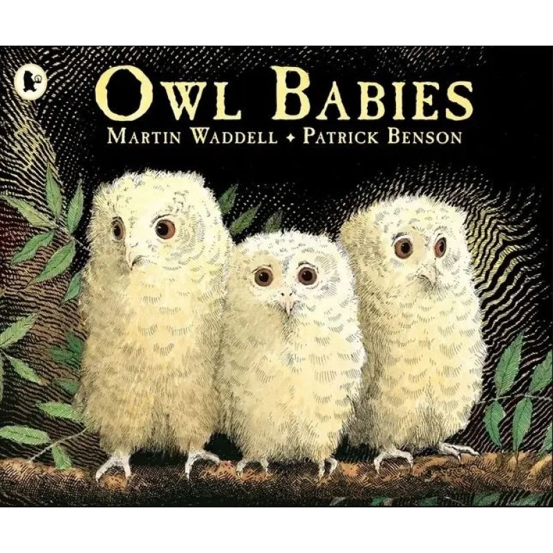 OWL BABIES (PB) (Nuevo)