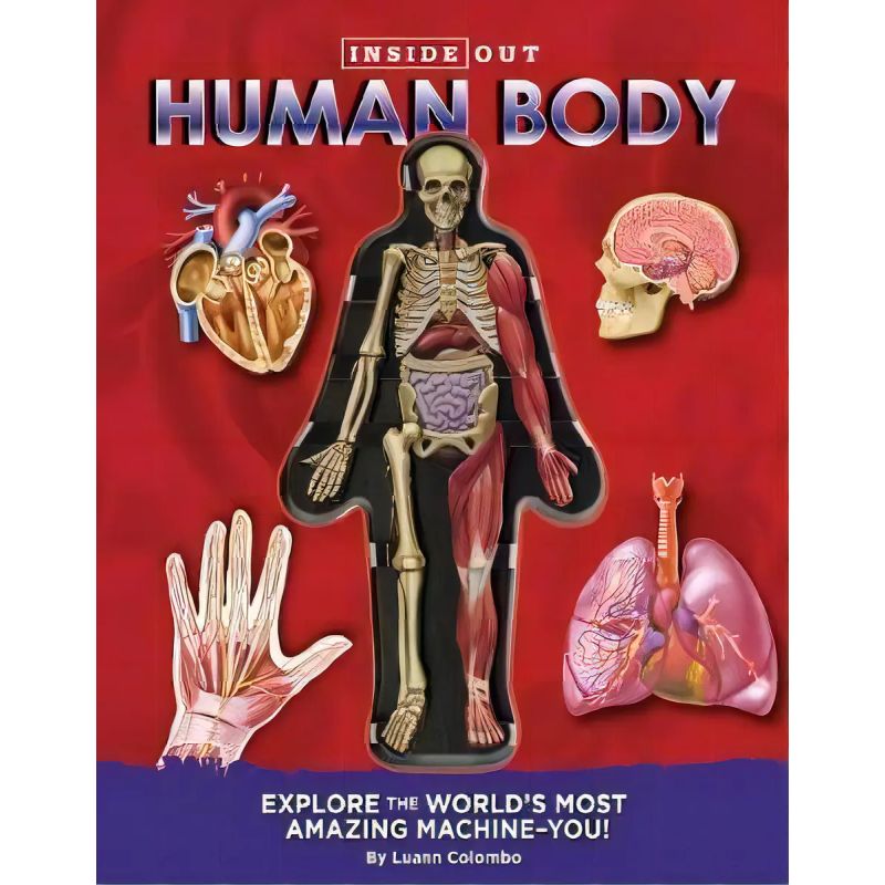 INSIDE OUT HUMAN BODY - HB (Nuevo)