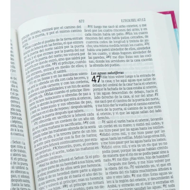 BIBLIA DE PROMESAS, LA - EDICION PARA JOVENES - RVR 60 - TD (Nuevo) - Miniatura 2