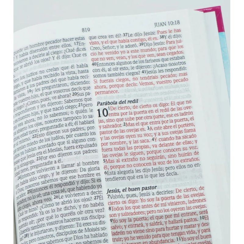 BIBLIA DE PROMESAS, LA - EDICION PARA JOVENES - RVR 60 - TD (Nuevo) - Miniatura 3