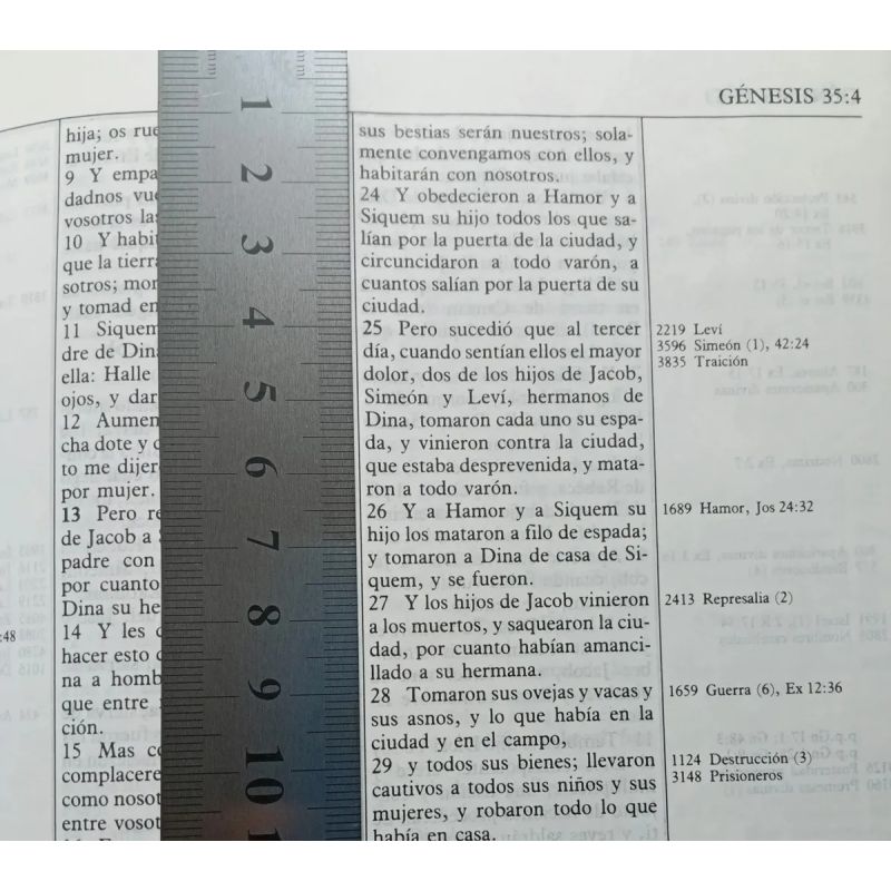BIBLIA DE REFERENCIA THOMPSON MILENIO RVR 1960 - TAPA DURA (Nuevo) - Miniatura 4