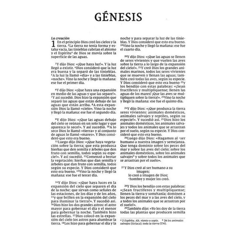SANTA BIBLIA NVI (NUEVA VERSION INTERNACIONAL) - LETRA GRANDE (Nuevo) - Miniatura 2