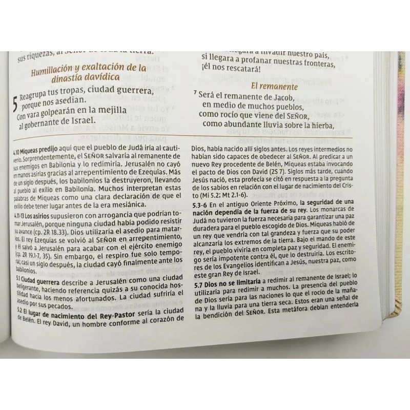 BIBLIA DE ESTUDIO PARA LA MUJER NVI - TAPA DURA (Nuevo) - Miniatura 4