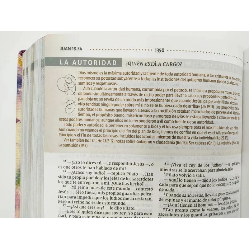 BIBLIA DE ESTUDIO PARA LA MUJER NVI - TAPA DURA (Nuevo) - Miniatura 5