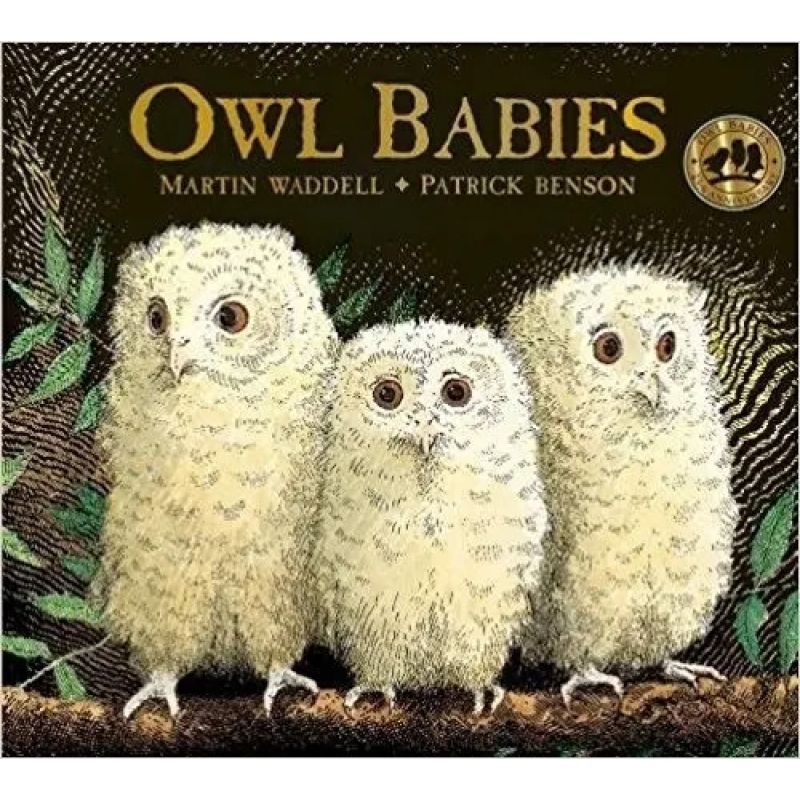 OWL BABIES (Nuevo)
