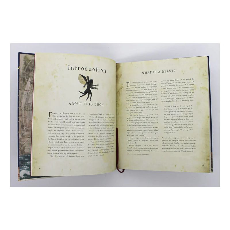 FANTASTIC BEASTS AND WHERE TO FIND THEM - ILLUSTRATED EDT (HB) (Nuevo) - Miniatura 2
