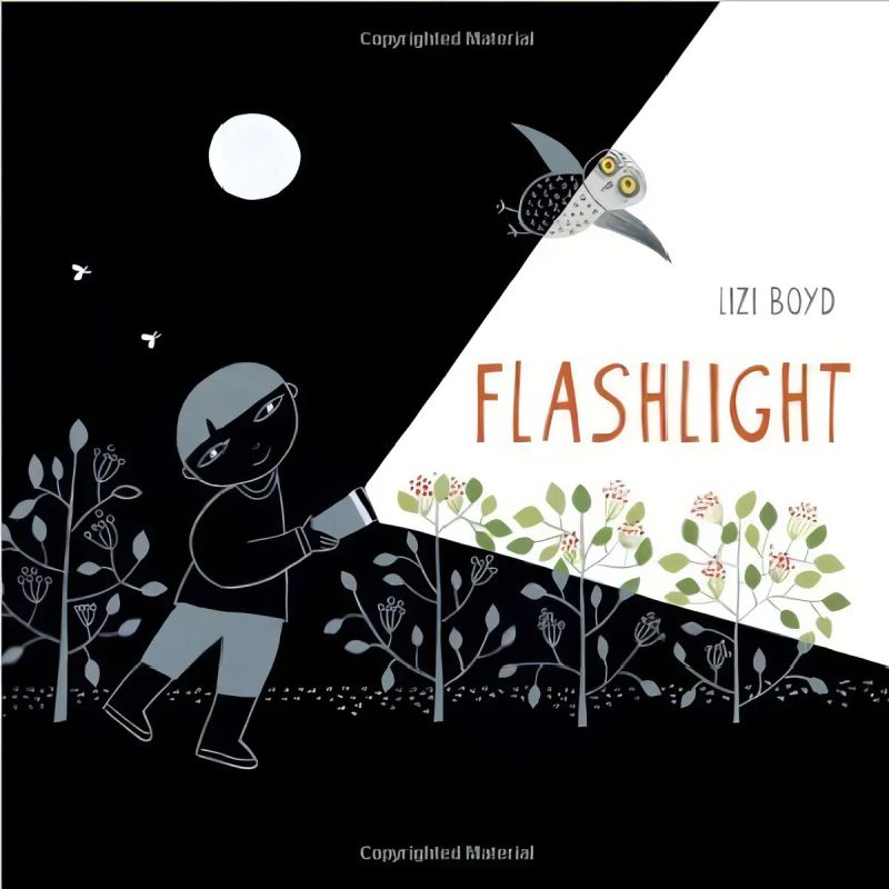 FLASHLIGHT (HB) (Nuevo)