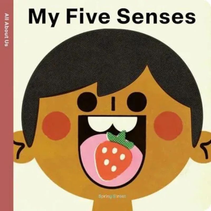 MY FIVE SENSES - ALL ABOUT US - BOARD BOOK (Nuevo)