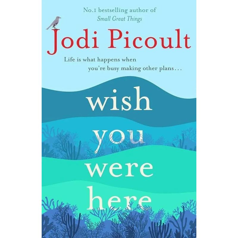WISH YOU WERE HERE - PB (Nuevo)
