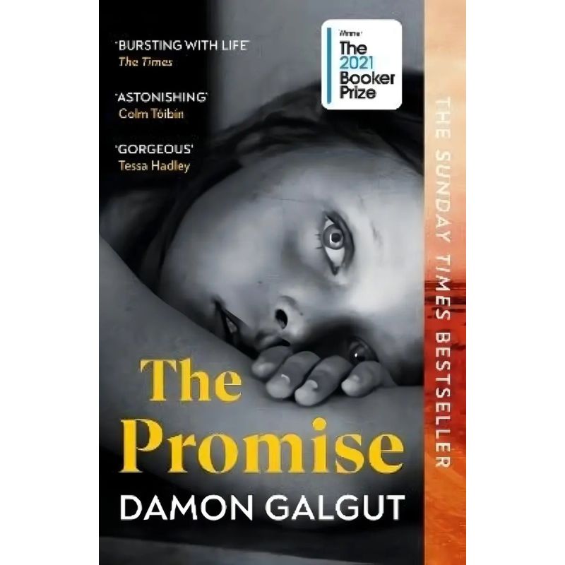 PROMISE, THE (PB) (Nuevo)