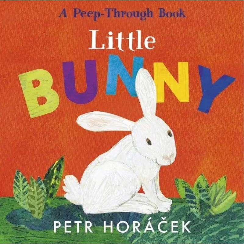 LITTLE BUNNY - A PEEP-THROUGH BOOK - BOARD BOOK (Nuevo)