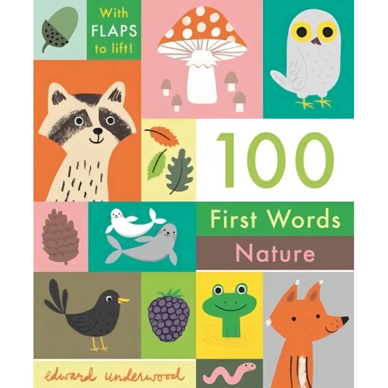100 FIRST WORDS - NATURE - BOARD BOOK (Nuevo)