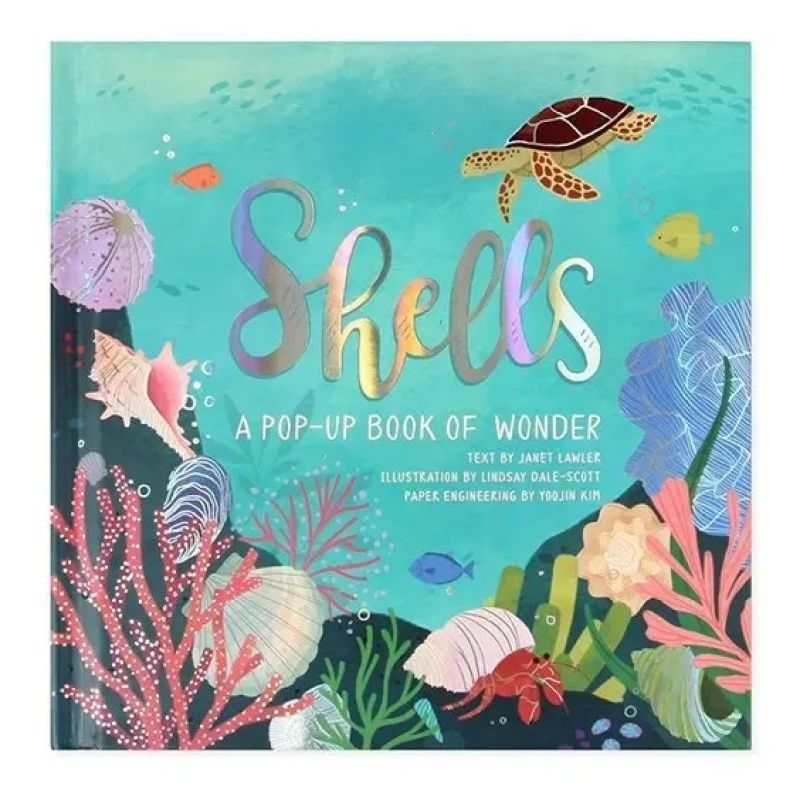 SHELLS - POP-UP BOOK OF WONDER (HB) (Nuevo)
