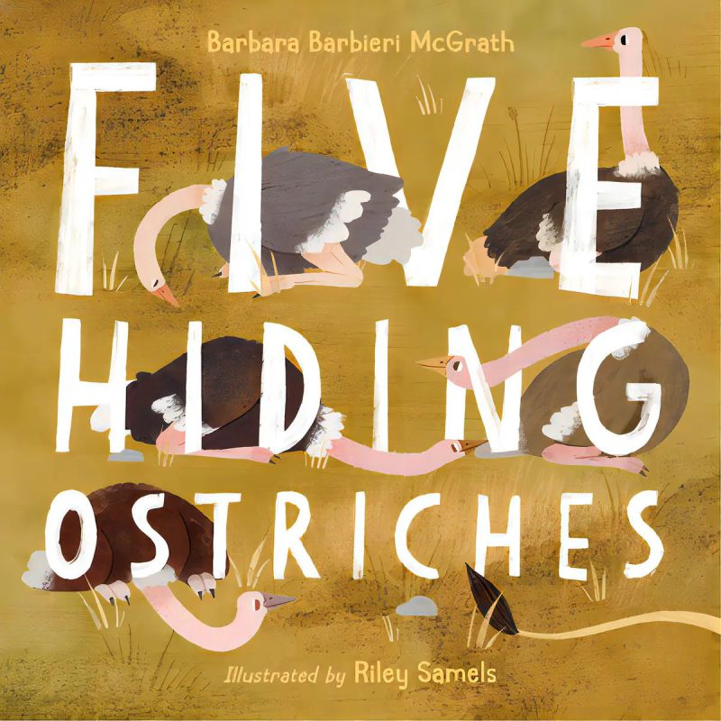 FIVE HIDING OSTRICHES - HB (Nuevo)