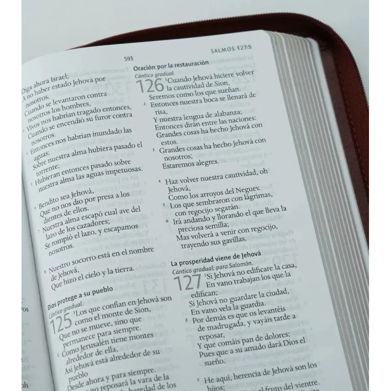 BIBLIA REINA VALERA 1960 LETRA GRANDE - SIMIL PIEL CANELA - CREMALLERA (Nuevo) - Miniatura 6
