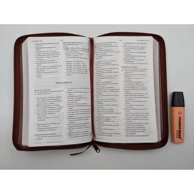 BIBLIA REINA VALERA 1960 LETRA GRANDE - SIMIL PIEL CANELA - CREMALLERA (Nuevo) - Miniatura 3