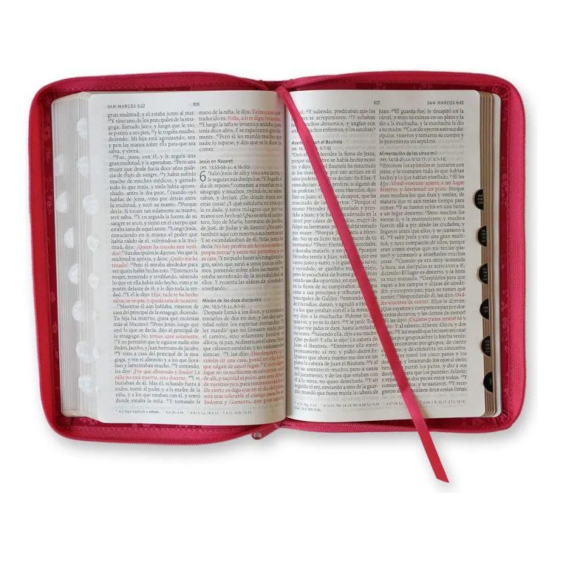 BIBLIA REINA VALERA 1960 LETRA GRANDE - SIMIL PIEL FUCSIA - CREMALLERA (Nuevo) - Miniatura 6
