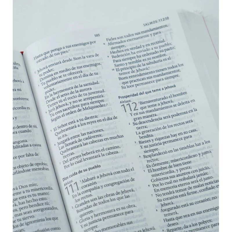 BIBLIA REINA VALERA 1960 LETRA GRANDE - TD TELA ROSADA CON FLORES (Nuevo) - Miniatura 3