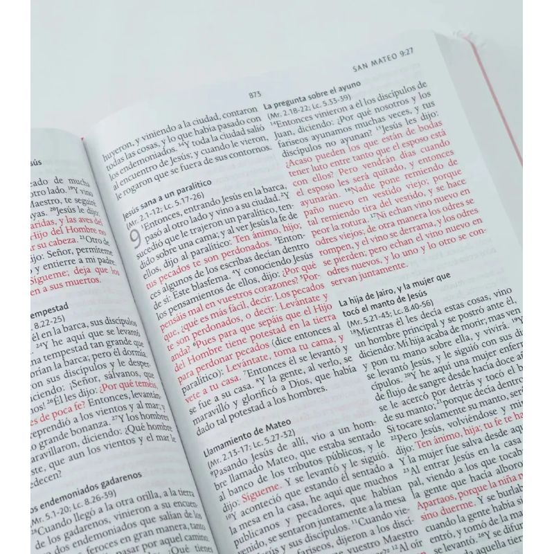 BIBLIA REINA VALERA 1960 LETRA GRANDE - TD TELA ROSADA CON FLORES (Nuevo) - Miniatura 2