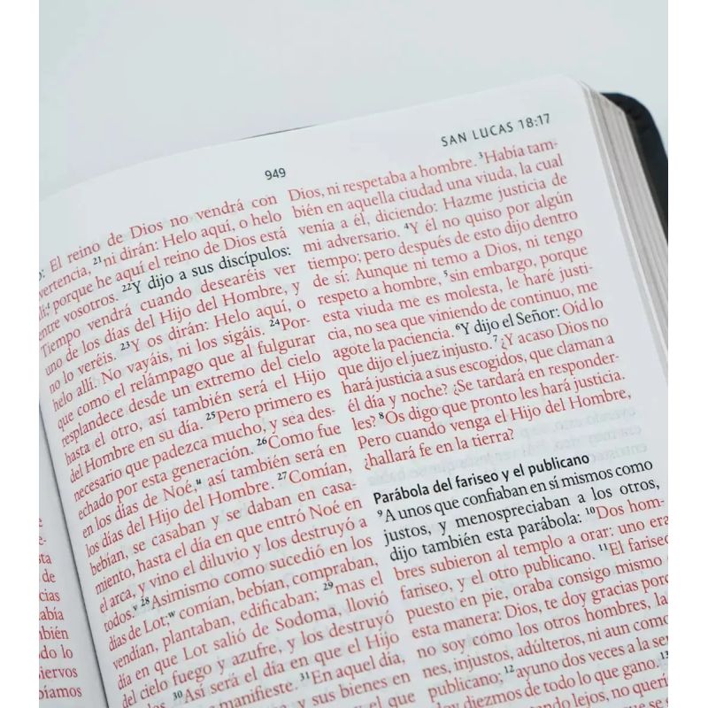 BIBLIA RVR 1960 LETRA GRANDE - SIMIL PIEL GRIS CON NOMBRES DE DIOS (Nuevo) - Miniatura 3