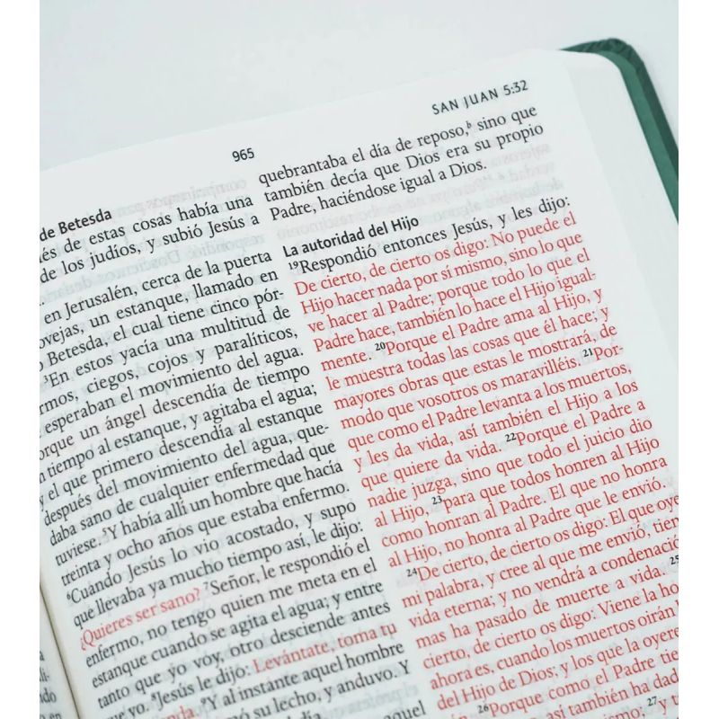 BIBLIA RVR 1960 LETRA GRANDE - TD CON NOMBRES DE DIOS (Nuevo) - Miniatura 4