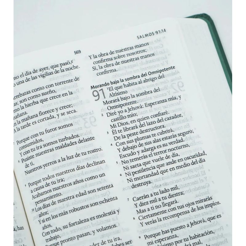 BIBLIA RVR 1960 LETRA GRANDE - TD CON NOMBRES DE DIOS (Nuevo) - Miniatura 3