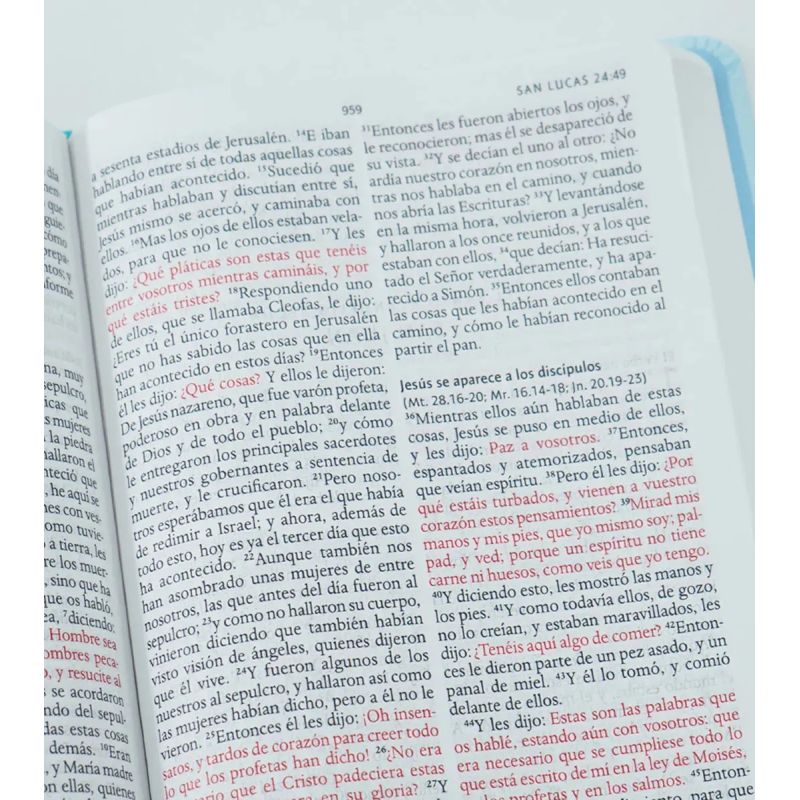 BIBLIA RVR 1960 - LETRA GRANDE - CON NOMBRES DE DIOS FLORES AZUL - TD (Nuevo) - Miniatura 2