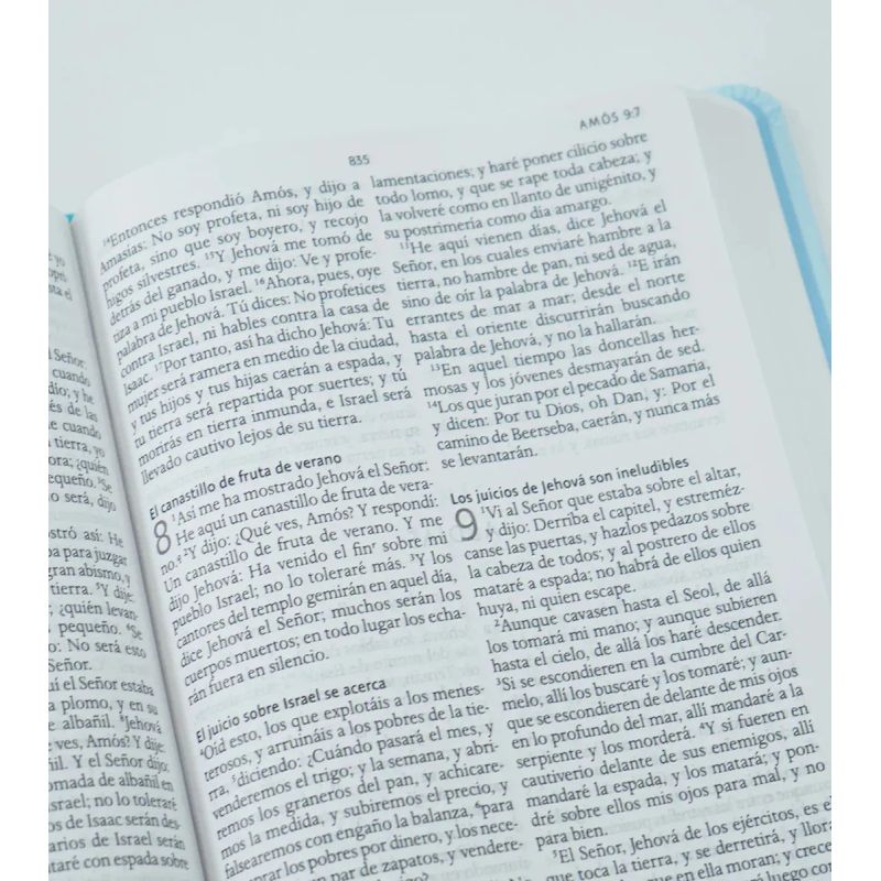 BIBLIA RVR 1960 - LETRA GRANDE - CON NOMBRES DE DIOS FLORES AZUL - TD (Nuevo) - Miniatura 3